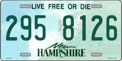 NH license plate 2958126