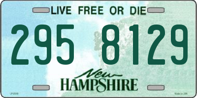 NH license plate 2958129