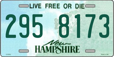 NH license plate 2958173