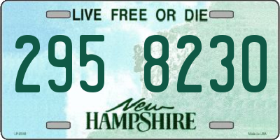 NH license plate 2958230