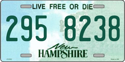 NH license plate 2958238
