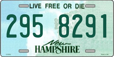 NH license plate 2958291