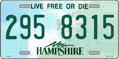 NH license plate 2958315