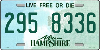 NH license plate 2958336