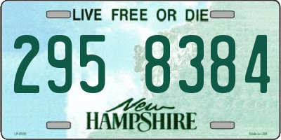 NH license plate 2958384