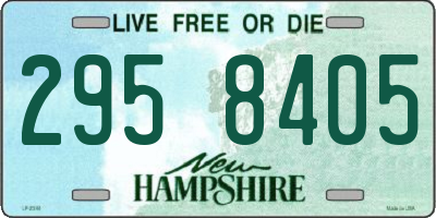 NH license plate 2958405