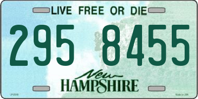NH license plate 2958455