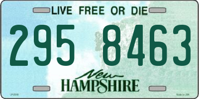 NH license plate 2958463