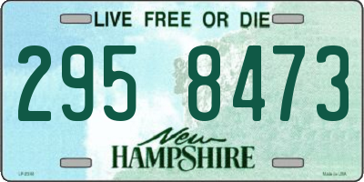 NH license plate 2958473