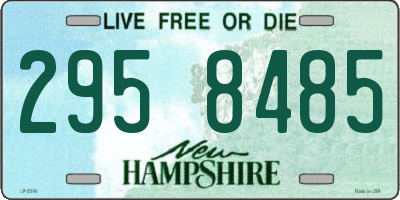 NH license plate 2958485
