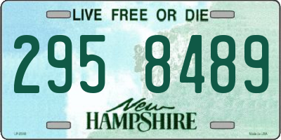 NH license plate 2958489