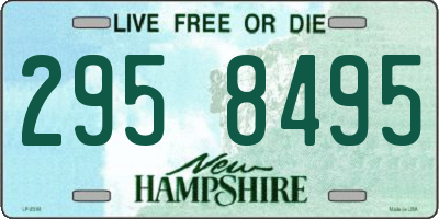 NH license plate 2958495