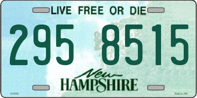 NH license plate 2958515