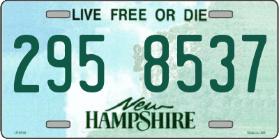 NH license plate 2958537