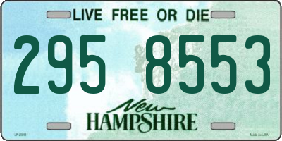 NH license plate 2958553