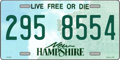 NH license plate 2958554