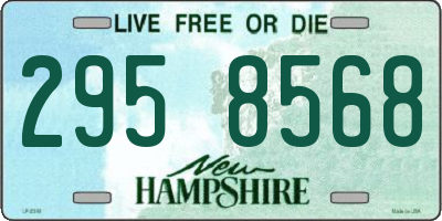 NH license plate 2958568