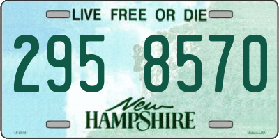NH license plate 2958570