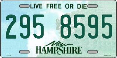 NH license plate 2958595