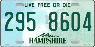 NH license plate 2958604