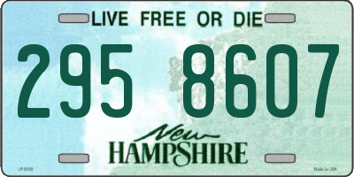 NH license plate 2958607