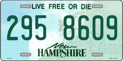 NH license plate 2958609