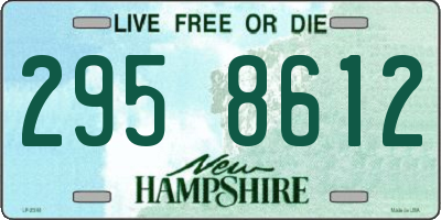 NH license plate 2958612