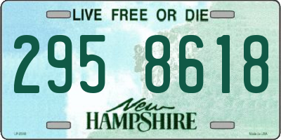 NH license plate 2958618