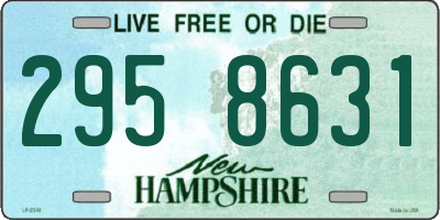 NH license plate 2958631
