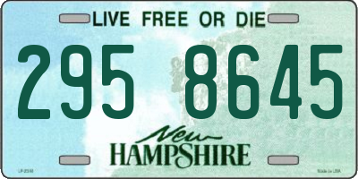 NH license plate 2958645