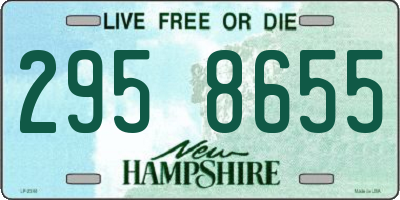 NH license plate 2958655
