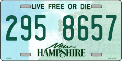NH license plate 2958657