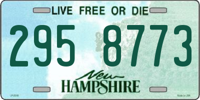 NH license plate 2958773