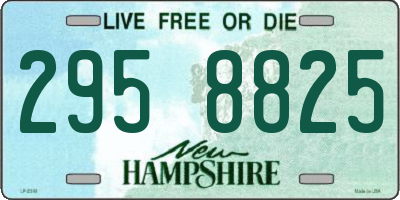 NH license plate 2958825