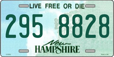 NH license plate 2958828