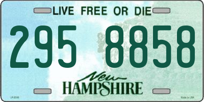 NH license plate 2958858