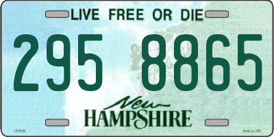 NH license plate 2958865
