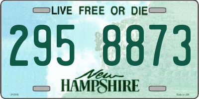NH license plate 2958873