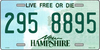 NH license plate 2958895