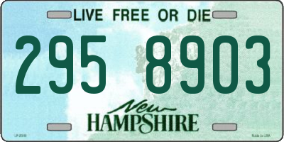 NH license plate 2958903