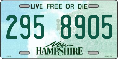 NH license plate 2958905