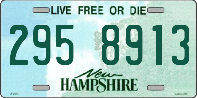 NH license plate 2958913