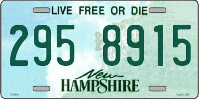 NH license plate 2958915