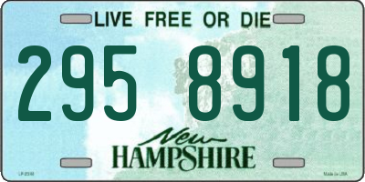NH license plate 2958918