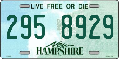NH license plate 2958929