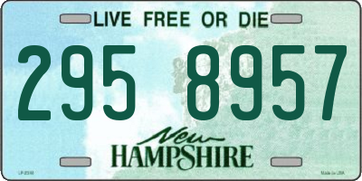 NH license plate 2958957