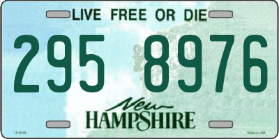 NH license plate 2958976