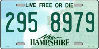 NH license plate 2958979