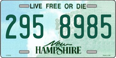 NH license plate 2958985