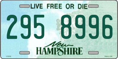 NH license plate 2958996